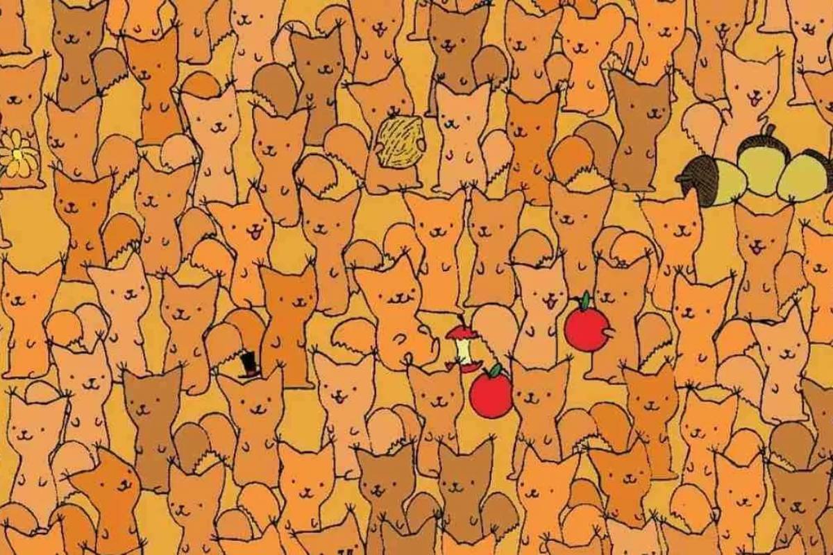 Puzzle Eye Test Can You Spot A Mouse Hidden Among These Cats Within 11 Seconds
