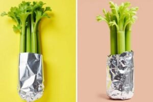 Why Wrapping Celery in Aluminium Foil Keeps It Crisp and Fresh for Weeks and the Science Behind the Method