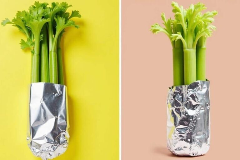 Why Wrapping Celery in Aluminium Foil Keeps It Crisp and Fresh for Weeks and the Science Behind the Method